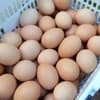 サムネイル 4