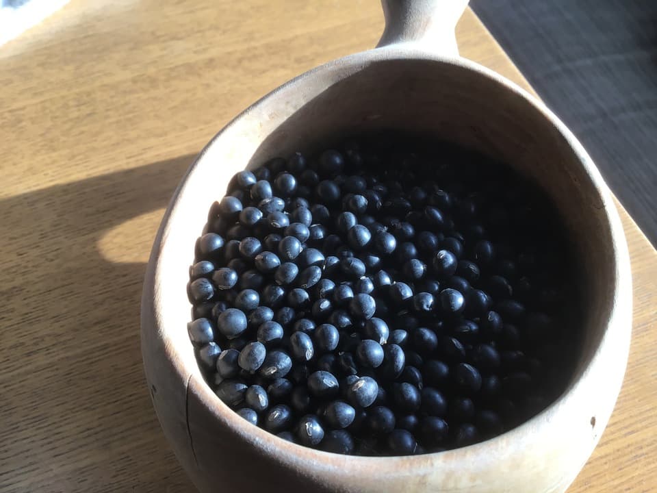 馬耕・自然栽培　黒千石大豆