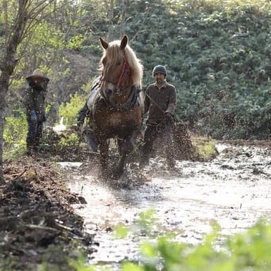 horsemade landscapeについて