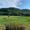 horsemade landscapeのアイコン
