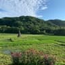 horsemade landscapeのアイコン
