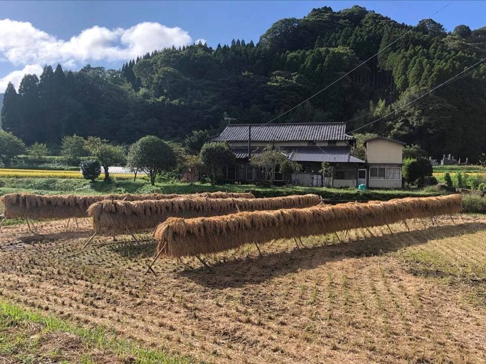 令和７年産  / 天日干し湧水こしひかり精米 ＜農薬・化成肥料・堆肥・除草剤不使用栽培＞