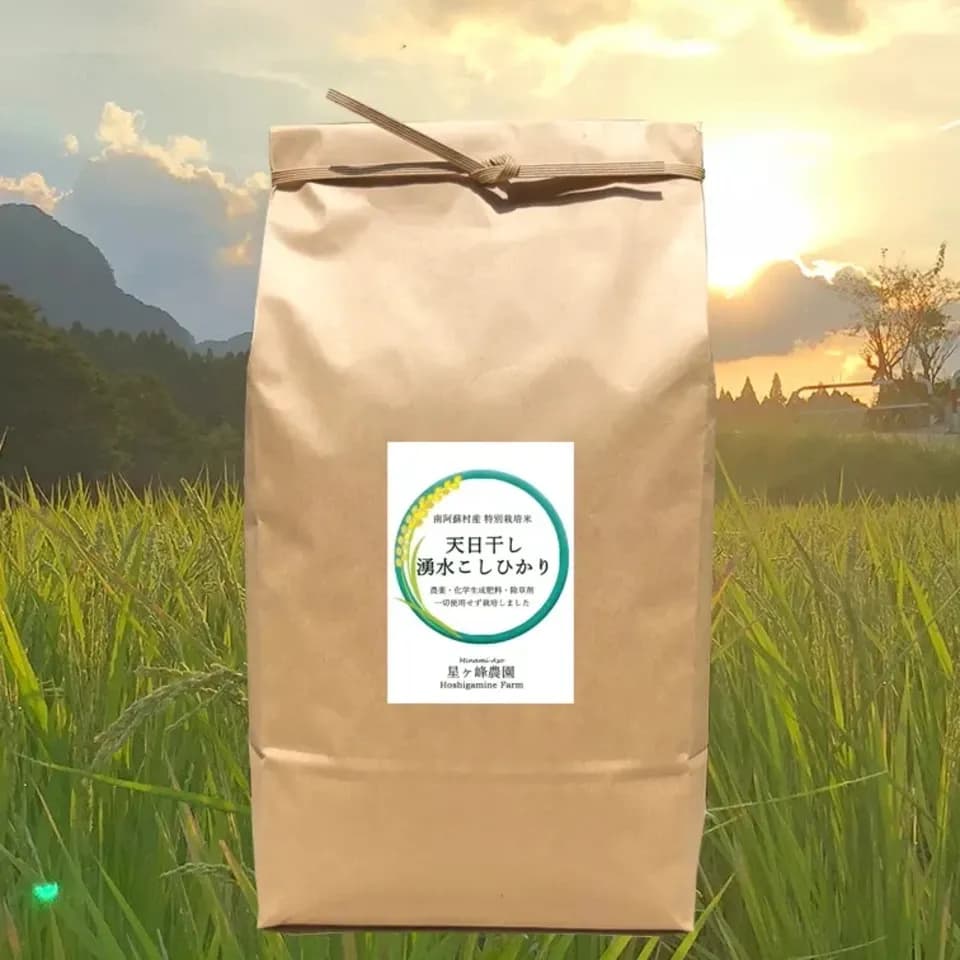 令和７年産  / 天日干し湧水こしひかり玄米＜農薬・化成肥料・堆肥・除草剤不使用栽培＞