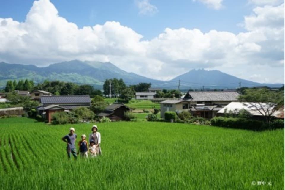 令和７年産  / 湧水こしひかり玄米＜農薬・化成肥料・堆肥・除草剤不使用栽培＞