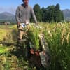 サムネイル 7