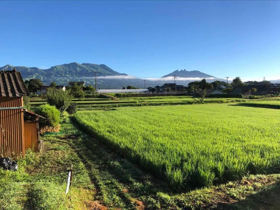 令和７年産  / 湧水こしひかり玄米＜農薬・化成肥料・堆肥・除草剤不使用栽培＞