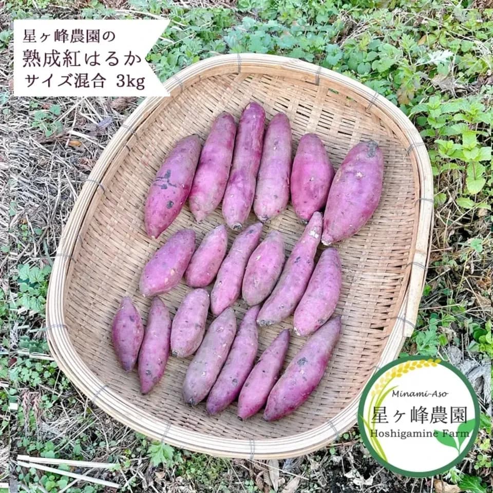 令和7年産・南阿蘇産【熟成紅はるか】 (農薬・化成肥料・除草剤・堆肥