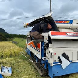 2023年産・新米【こしひかり】【湧水こしひかり】販売開始のお知らせ