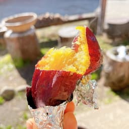 🍠熟成紅はるか🍠発送始まっています
