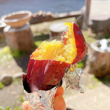 🍠熟成紅はるか🍠発送始まっています