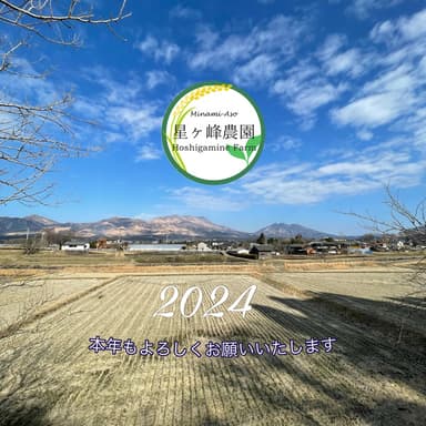 🌳2024年🐉 初投稿です 💫