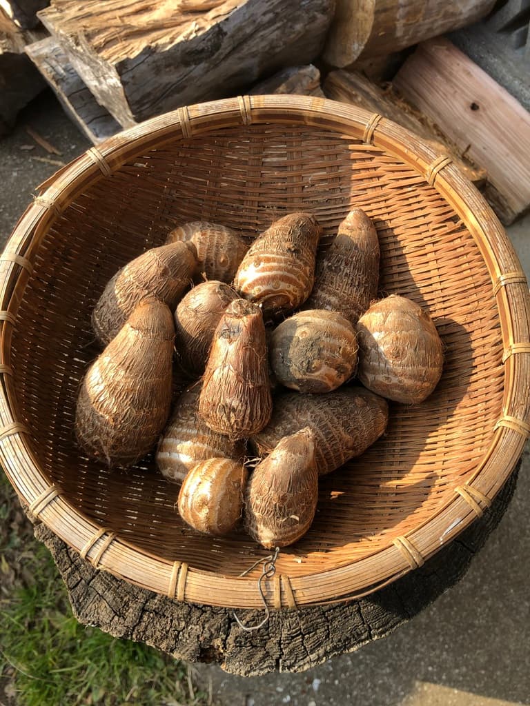土とヒゲを取り除いた里芋１㎏