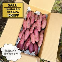 ●熟成紅はるか 優良品５KG ● SALE開催中●
