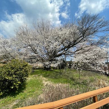 2021 南阿蘇の春🌸春季休業のお知らせ🌸