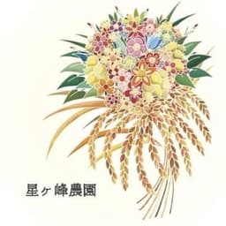 配送再開のお知らせ
