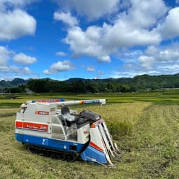 🌾星ヶ峰農園のこしひかり・湧水こしひかり🌾