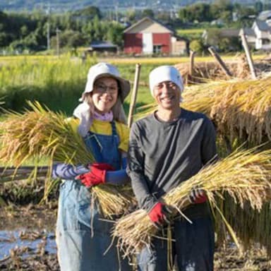 「あまくて おいしい ほしいも」販売予定について