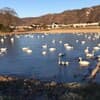 サムネイル 8