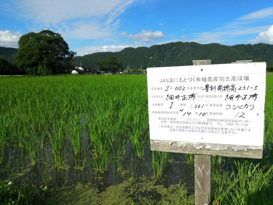 玄米珈琲（無農薬、無肥料栽培）