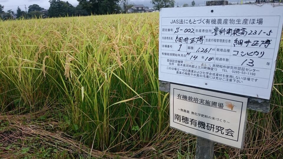 玄米珈琲（無農薬、無肥料栽培）