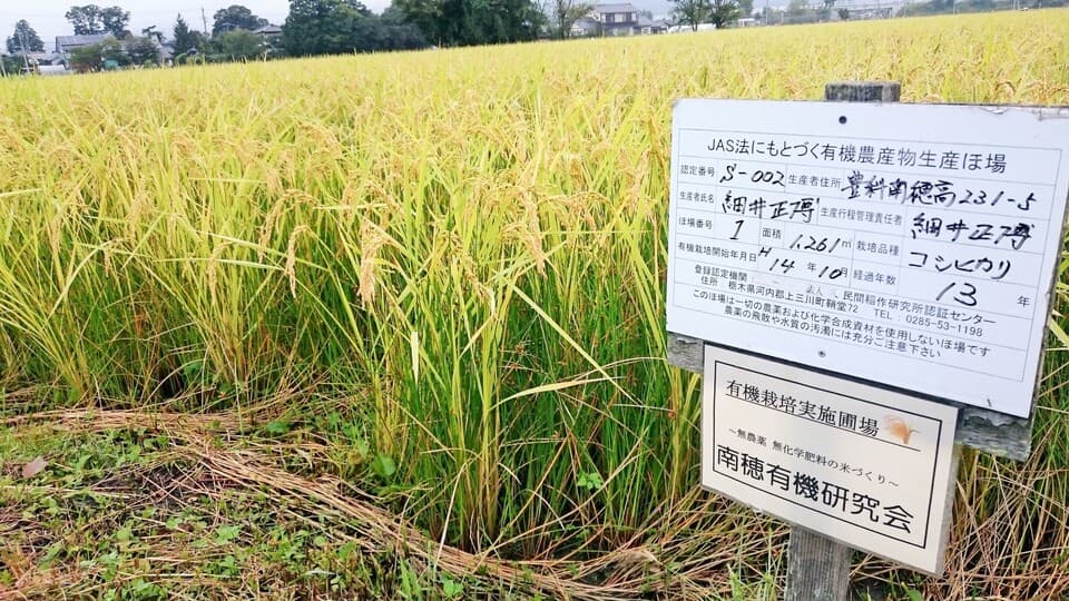 【令和7年度産】安曇野産ゆうだい21【有機JAS認定米】　　　　　　　～令和6年度お米日本一コンテスト最高金賞受賞～