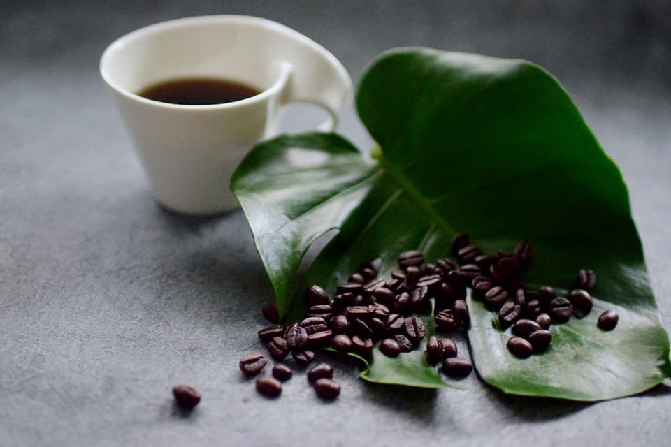 【オーガニック】スターターズ・ブレッド＆カフェインレスコーヒーセット