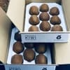 ＜ヘイワード＞18玉 Mサイズ
