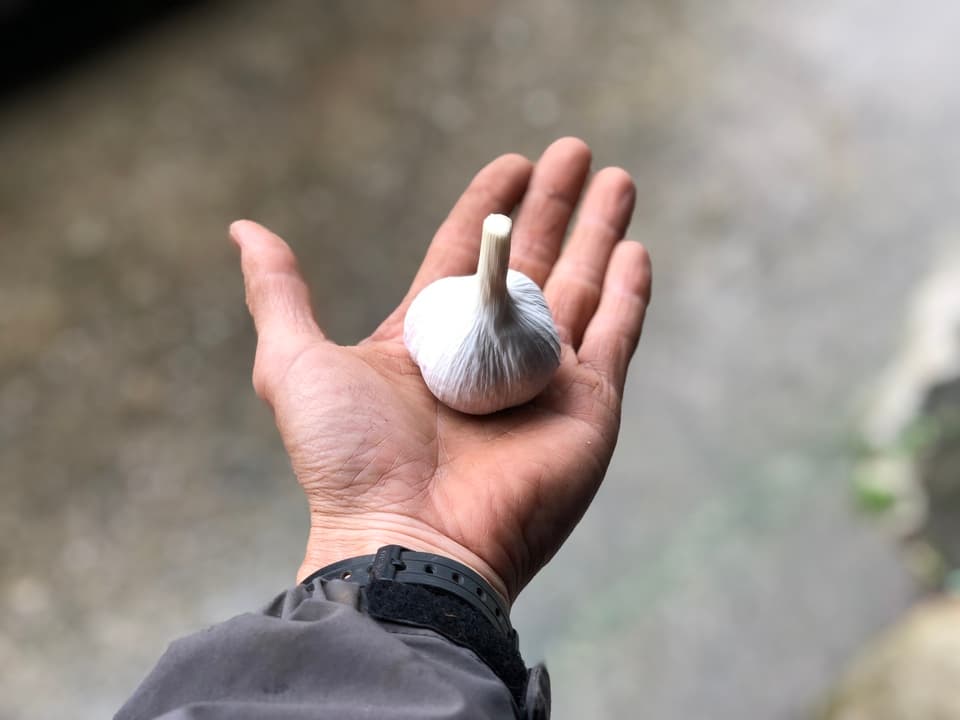 完全自然食品 黒ニンニク