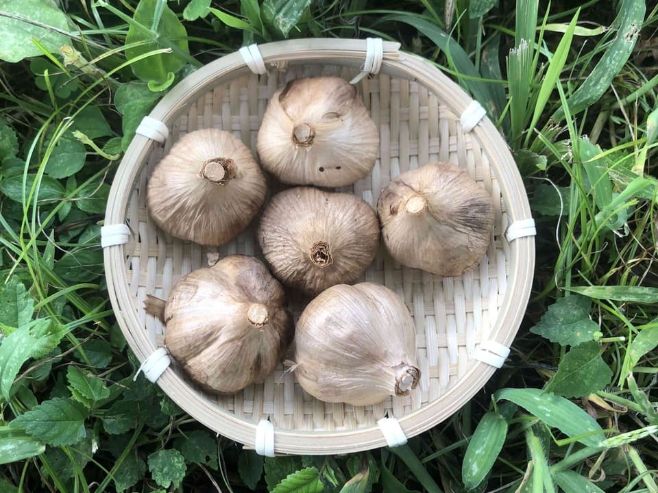 完全自然食品 黒ニンニク