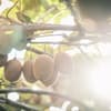 サムネイル 13