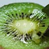 サムネイル 3