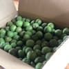 サムネイル 6