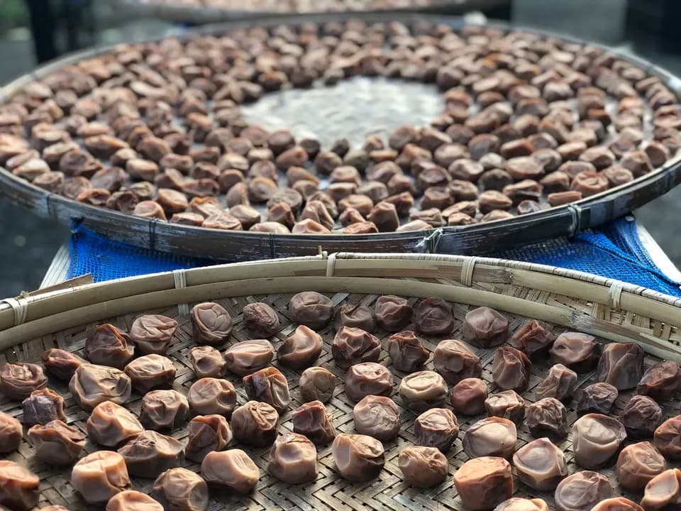 【3年熟成】自然栽培の梅干し＜無添加食品＞ (農薬肥料不使用梅/赤紫蘇/海塩)