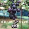 サムネイル 3
