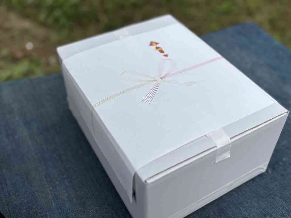 【ギフトBOX】自然栽培 森のぶどう 贈り物用