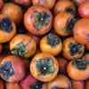 サムネイル 8