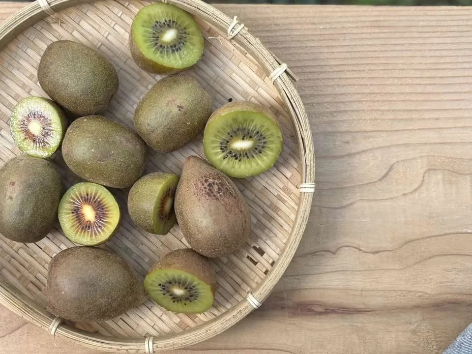 自然栽培 有機JAS認証キウイフルーツ 追熟済み！