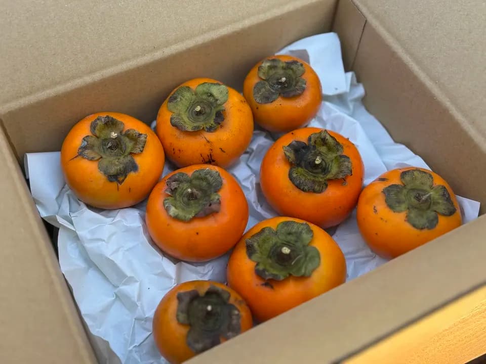 自然栽培 山柿
