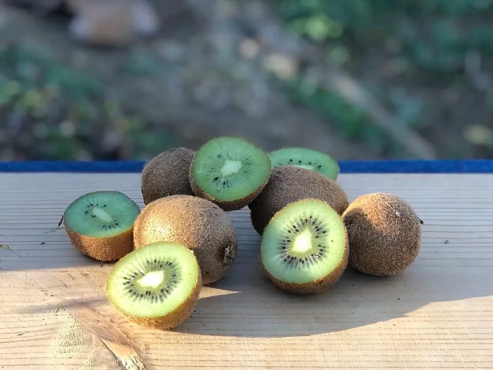 規格外 SSサイズ グリーンキウイ 