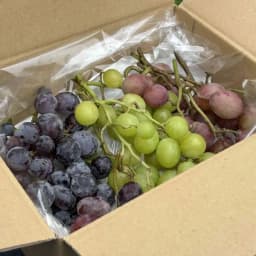 0.1%以下の農薬を使わないフルーツ