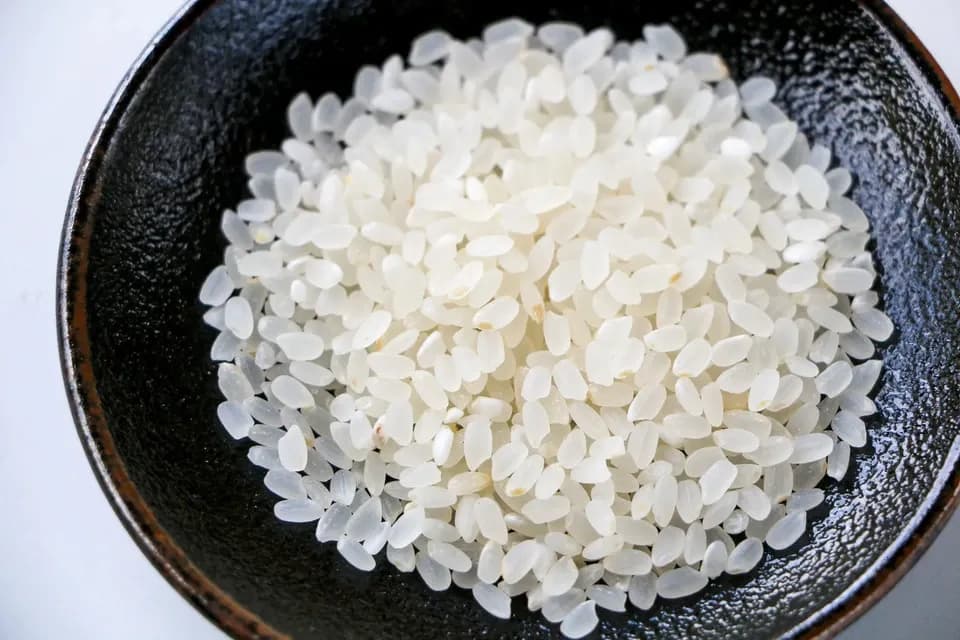 【令和7年度産】山形県の山水育ち天日干し米＜希少品種・山形95号＞農薬・化学肥料不使用