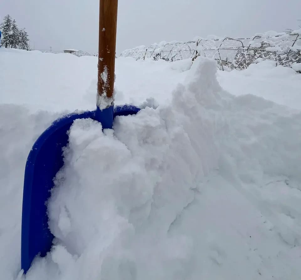雪で旨み凝縮‼︎ねぎ、大根セット（化学肥料•農薬不使用）お鍋に、薬味に、サラダに、煮物に、漬物に‼︎