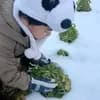 サムネイル 1