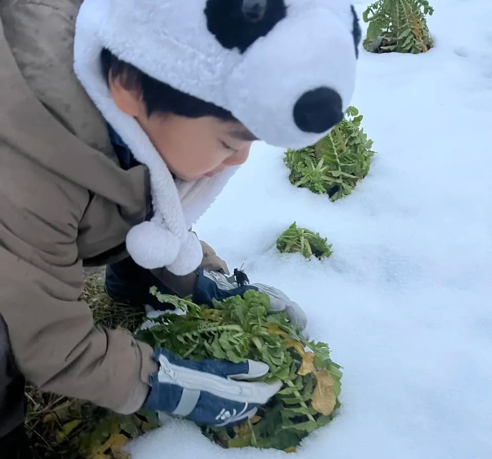 雪で旨み凝縮‼︎ねぎ、大根セット（化学肥料•農薬不使用）お鍋に、薬味に、サラダに、煮物に、漬物に‼︎