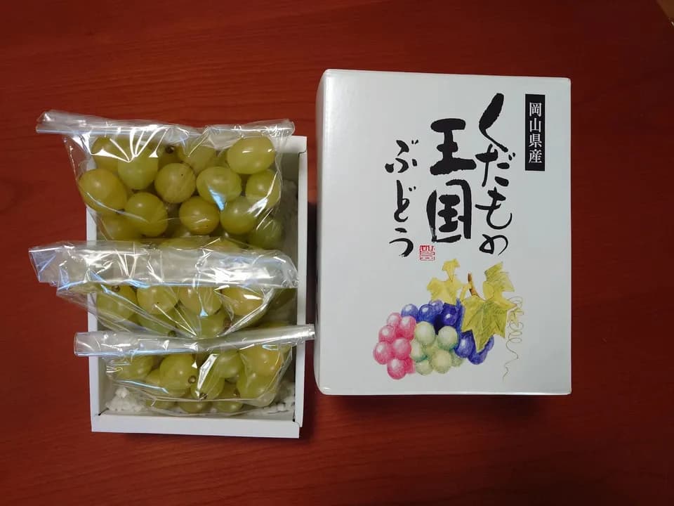 自然に寄り添い育てたぶどう＜岡山県産シャインマスカット＞殺菌剤・殺虫剤・化学肥料・除草剤を使わない栽培