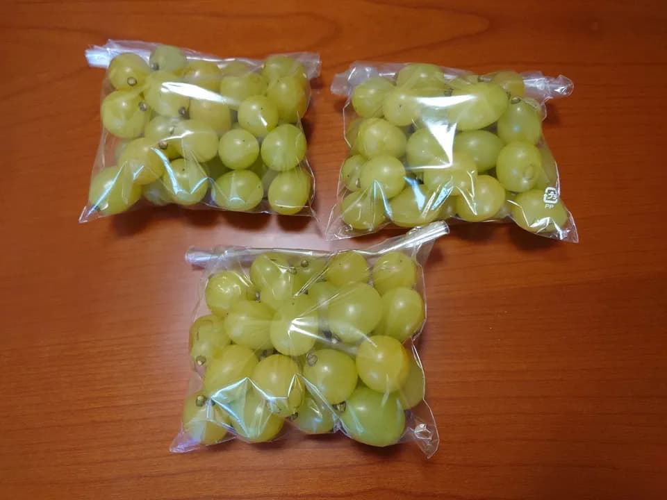 自然に寄り添い育てたぶどう＜岡山県産シャインマスカット＞殺菌剤・殺虫剤・化学肥料・除草剤を使わない栽培