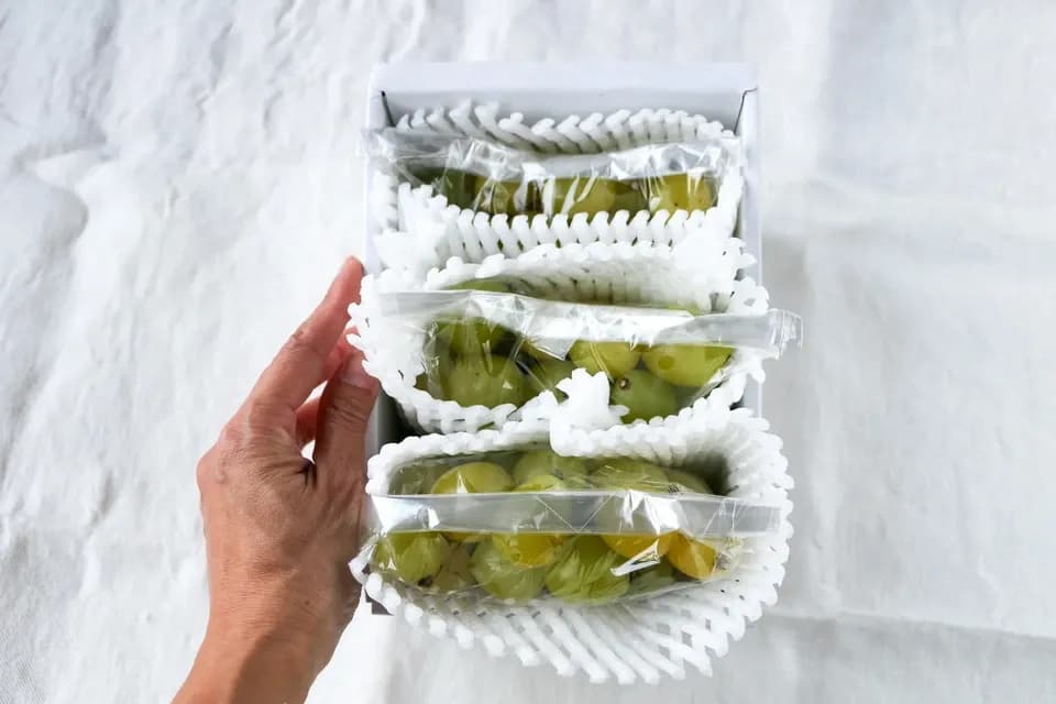 自然に寄り添い育てたぶどう＜岡山県産シャインマスカット＞殺菌剤・殺虫剤・化学肥料・除草剤を使わない栽培