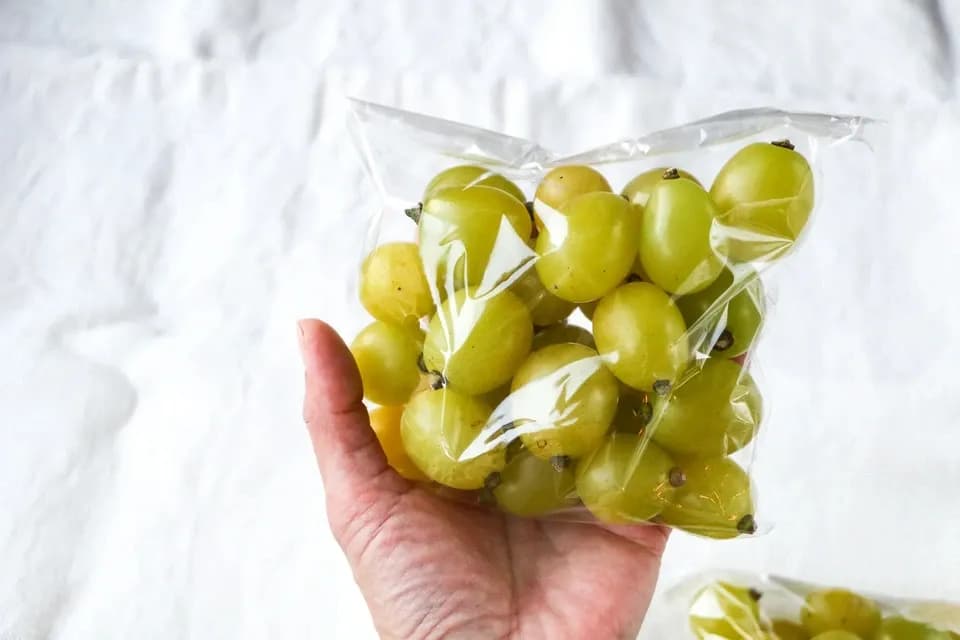 自然に寄り添い育てたぶどう＜岡山県産シャインマスカット＞殺菌剤・殺虫剤・化学肥料・除草剤を使わない栽培