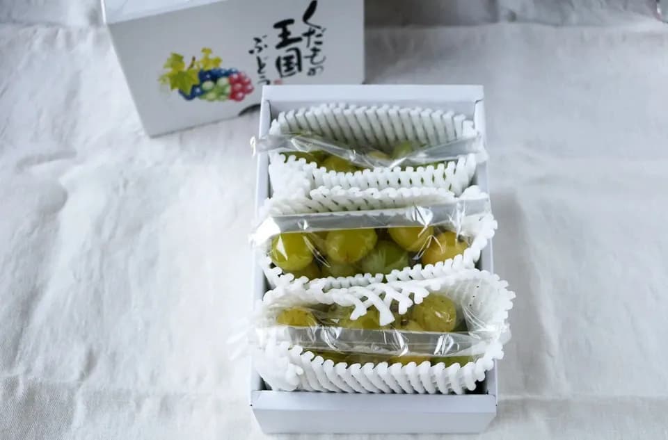自然に寄り添い育てたぶどう＜岡山県産シャインマスカット＞殺菌剤・殺虫剤・化学肥料・除草剤を使わない栽培