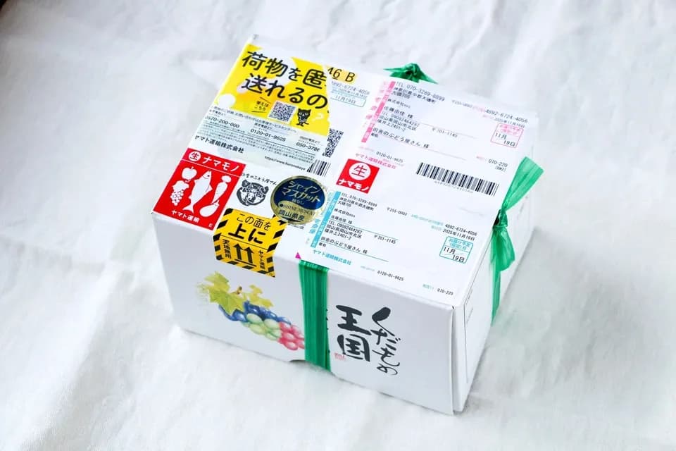 自然に寄り添い育てたぶどう＜岡山県産シャインマスカット＞殺菌剤・殺虫剤・化学肥料・除草剤を使わない栽培